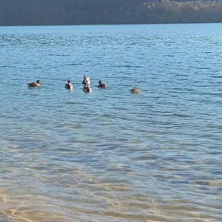 Pres De La * Sorbo-Ocagnano